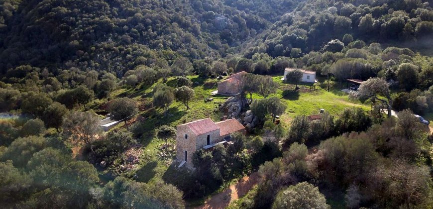 Traditional 14 Ha Land and Farmhouse for Sale in Luogosanto 30 Km from Porto Cervo