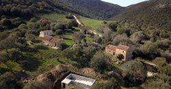 Traditional 14 Ha Land and Farmhouse for Sale in Luogosanto 30 Km from Porto Cervo