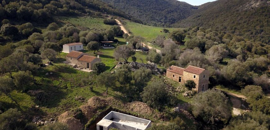 Traditional 14 Ha Land and Farmhouse for Sale in Luogosanto 30 Km from Porto Cervo