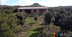 Unfinished Villas For Sale Aglientu Near Santa Teresa di Gallura ref. Mannucciu