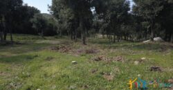 Unfinished Villas On Panoramic Plot for Sale Near Santa Teresa Di Gallura, Northern Sardinia