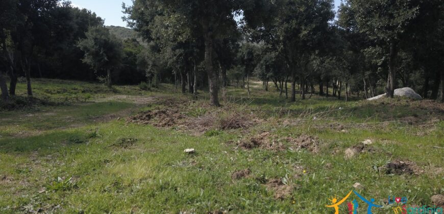 Unfinished Villas On Panoramic Plot for Sale Near Santa Teresa Di Gallura, Northern Sardinia