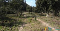 Unfinished Villas On Panoramic Plot for Sale Near Santa Teresa Di Gallura, Northern Sardinia