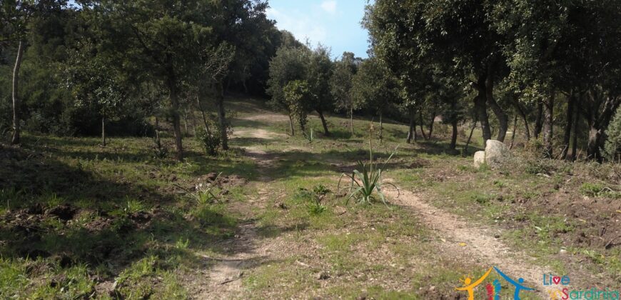 Unfinished Villas For Sale Aglientu Near Santa Teresa di Gallura ref. Mannucciu