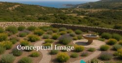 Land For Sale Aglientu, 6 Km From Rena Maiore Ref Bonif