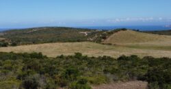 Land For Sale Aglientu, 6 Km From Rena Maiore Ref Bonif