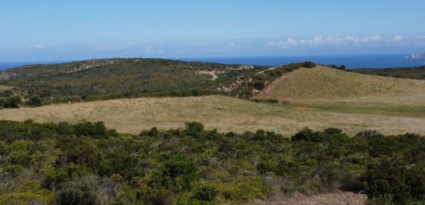 Land For Sale Aglientu, 6 Km From Rena Maiore Ref Bonif