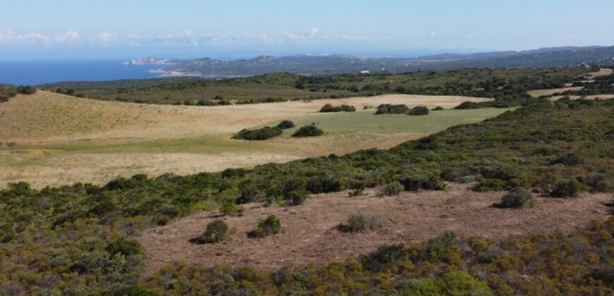 Land For Sale Aglientu, 6 Km From Rena Maiore Ref Bonif