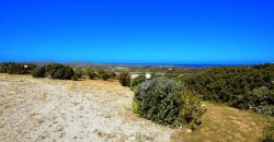 Sardinian Cottage With 3 Ha Land for Sale Near Aglientu, Northern Sardinia