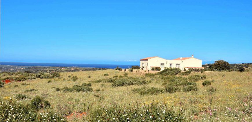 Sardinian Cottage With 3 Ha Land for Sale Near Aglientu, Northern Sardinia