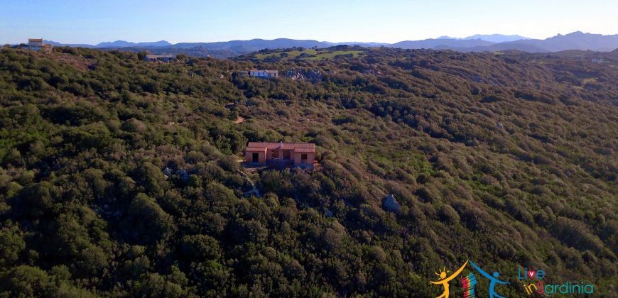 Scenic Sea Views 2,5 Ha Land and Villa for Sale Near Luogosanto, North East Sardinia