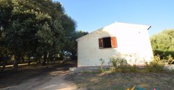 Attractive 260 M2 Country Home for Sale in Crisciuleddu Near Porto Cervo, North East Sardinia