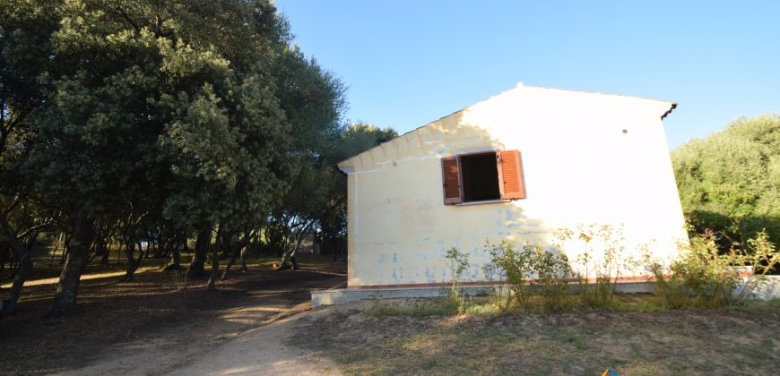 Attractive 260 M2 Country Home for Sale in Crisciuleddu Near Porto Cervo, North East Sardinia