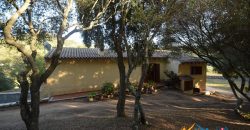 Attractive 260 M2 Country Home for Sale in Crisciuleddu Near Porto Cervo, North East Sardinia