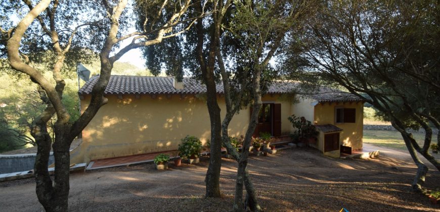 Attractive 260 M2 Country Home for Sale in Crisciuleddu Near Porto Cervo, North East Sardinia