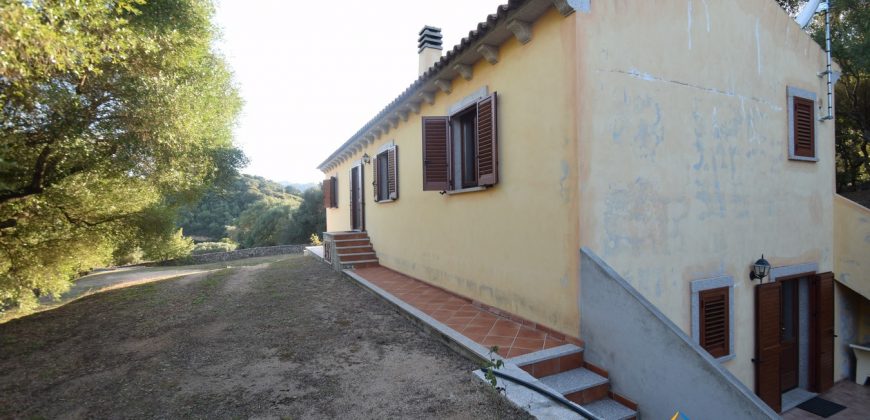 Attractive 260 M2 Country Home for Sale in Crisciuleddu Near Porto Cervo, North East Sardinia