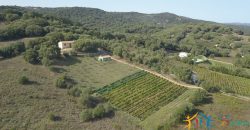 Attractive 260 M2 Country Home for Sale in Crisciuleddu Near Porto Cervo, North East Sardinia