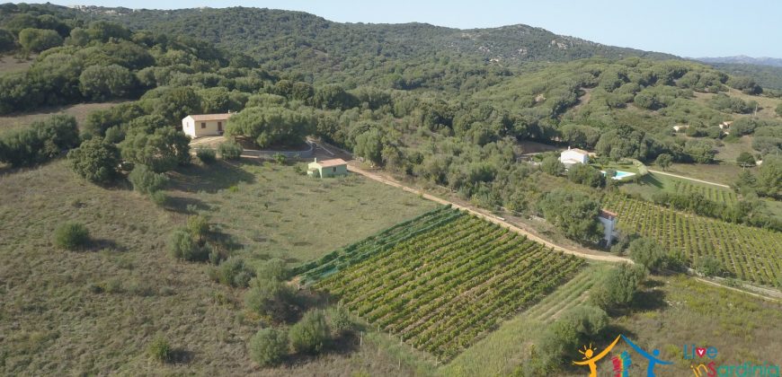 Attractive 260 M2 Country Home for Sale in Crisciuleddu Near Porto Cervo, North East Sardinia