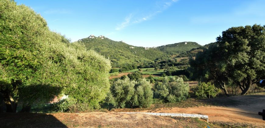 Attractive 260 M2 Country Home for Sale in Crisciuleddu Near Porto Cervo, North East Sardinia