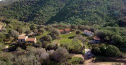 Traditional 14 Ha Land and Farmhouse for Sale in Luogosanto 30 Km from Porto Cervo