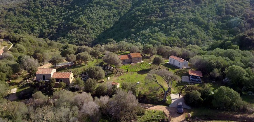 Traditional 14 Ha Land and Farmhouse for Sale in Luogosanto 30 Km from Porto Cervo