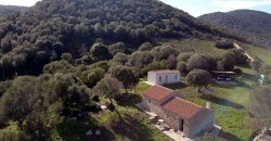 Traditional 14 Ha Land and Farmhouse for Sale in Luogosanto 30 Km from Porto Cervo