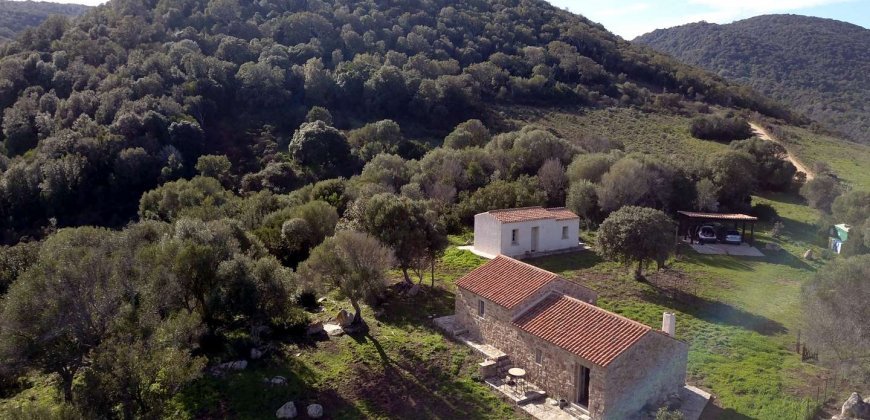 Traditional 14 Ha Land and Farmhouse for Sale in Luogosanto 30 Km from Porto Cervo