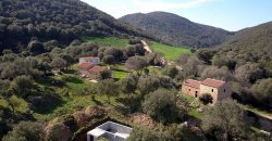 Traditional 14 Ha Land and Farmhouse for Sale in Luogosanto 30 Km from Porto Cervo