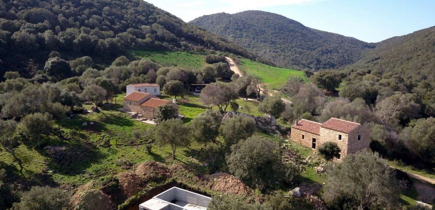 Traditional 14 Ha Land and Farmhouse for Sale in Luogosanto 30 Km from Porto Cervo