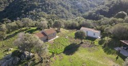 Traditional 14 Ha Land and Farmhouse for Sale in Luogosanto 30 Km from Porto Cervo