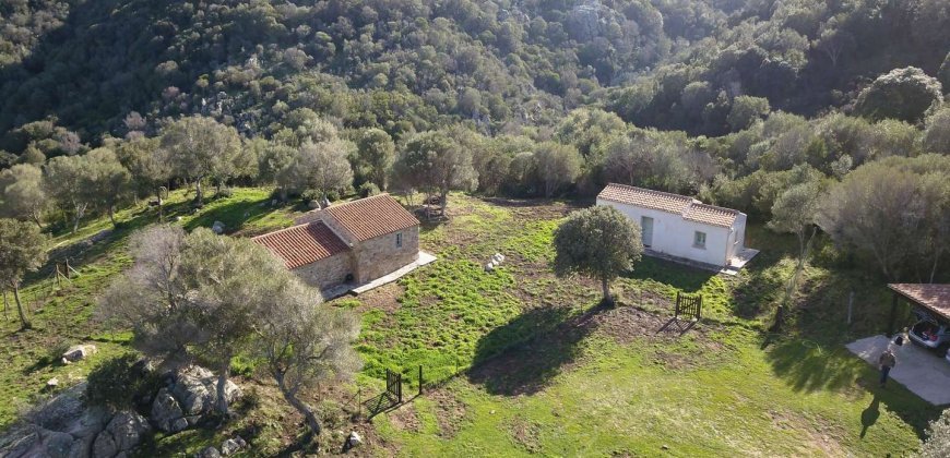 Traditional 14 Ha Land and Farmhouse for Sale in Luogosanto 30 Km from Porto Cervo