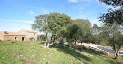 Traditional 14 Ha Land and Farmhouse for Sale in Luogosanto 30 Km from Porto Cervo