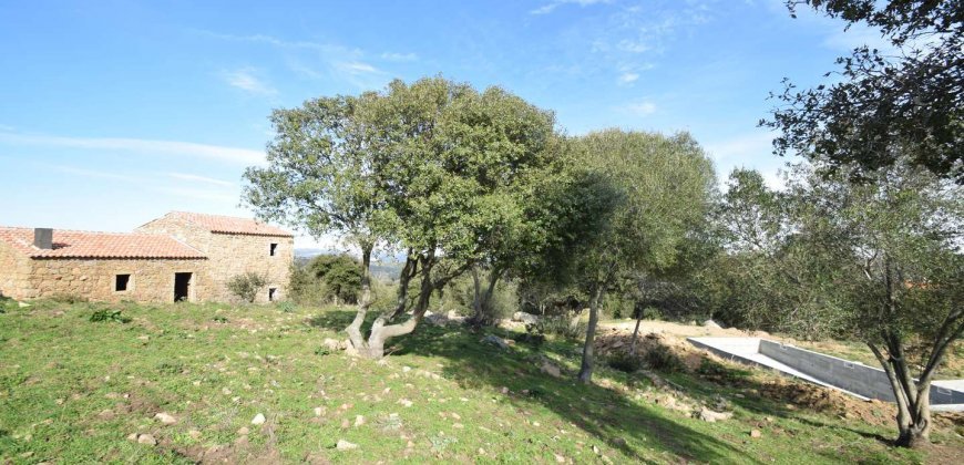 Traditional 14 Ha Land and Farmhouse for Sale in Luogosanto 30 Km from Porto Cervo