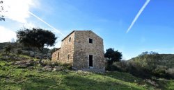 Traditional 14 Ha Land and Farmhouse for Sale in Luogosanto 30 Km from Porto Cervo