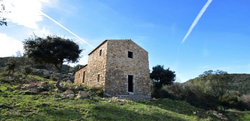 Traditional 14 Ha Land and Farmhouse for Sale in Luogosanto 30 Km from Porto Cervo