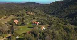 Traditional 14 Ha Land and Farmhouse for Sale in Luogosanto 30 Km from Porto Cervo