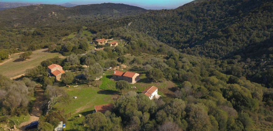 Traditional 14 Ha Land and Farmhouse for Sale in Luogosanto 30 Km from Porto Cervo