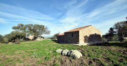 Traditional 14 Ha Land and Farmhouse for Sale in Luogosanto 30 Km from Porto Cervo