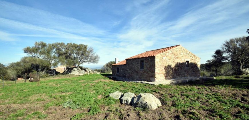 Traditional 14 Ha Land and Farmhouse for Sale in Luogosanto 30 Km from Porto Cervo