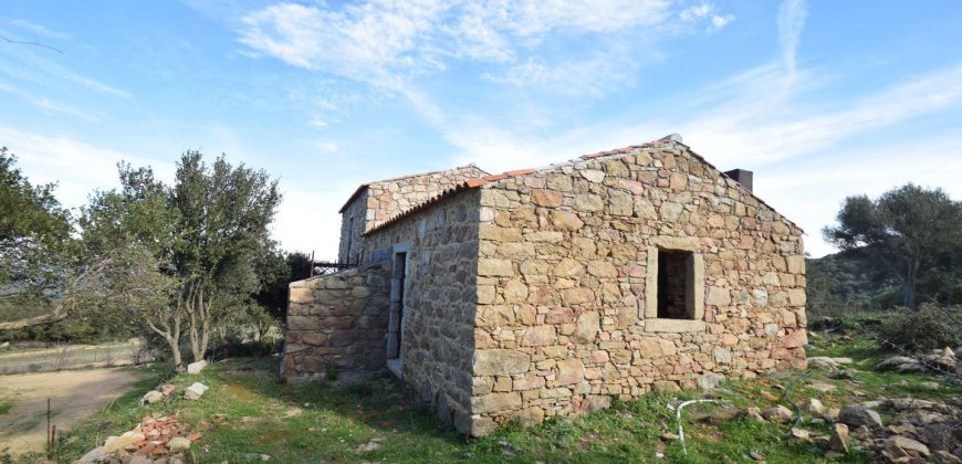 Traditional 14 Ha Land and Farmhouse for Sale in Luogosanto 30 Km from Porto Cervo