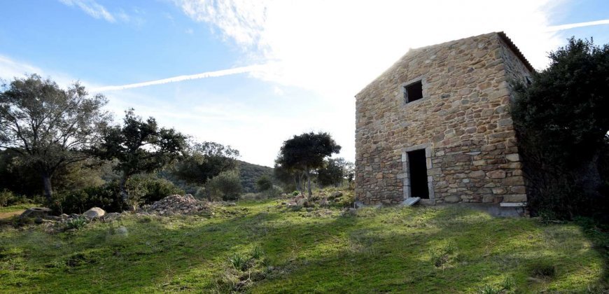 Traditional 14 Ha Land and Farmhouse for Sale in Luogosanto 30 Km from Porto Cervo