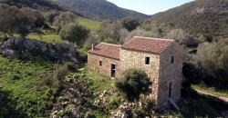 Traditional 14 Ha Land and Farmhouse for Sale in Luogosanto 30 Km from Porto Cervo