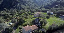 Traditional 14 Ha Land and Farmhouse for Sale in Luogosanto 30 Km from Porto Cervo