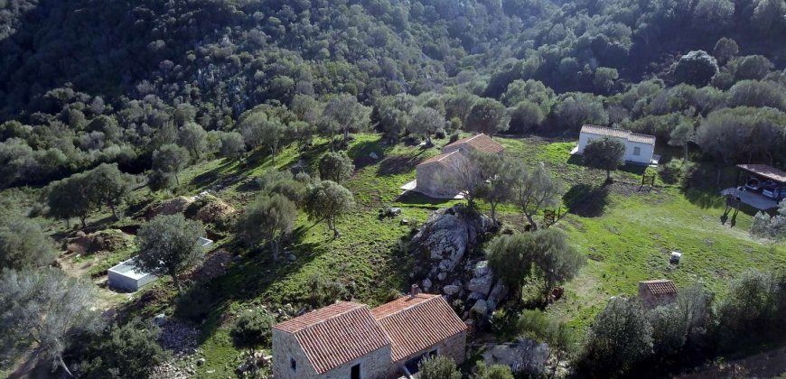 Traditional 14 Ha Land and Farmhouse for Sale in Luogosanto 30 Km from Porto Cervo