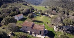 Traditional 14 Ha Land and Farmhouse for Sale in Luogosanto 30 Km from Porto Cervo