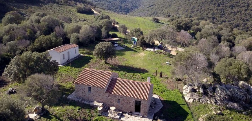 Traditional 14 Ha Land and Farmhouse for Sale in Luogosanto 30 Km from Porto Cervo