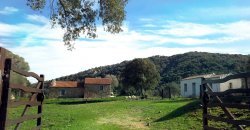 Traditional 14 Ha Land and Farmhouse for Sale in Luogosanto 30 Km from Porto Cervo