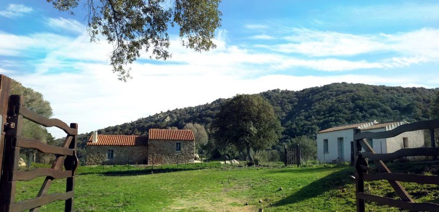 Traditional 14 Ha Land and Farmhouse for Sale in Luogosanto 30 Km from Porto Cervo