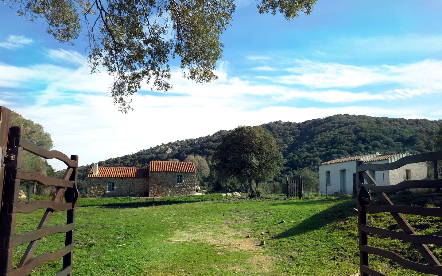 Traditional 14 Ha Land and Farmhouse for Sale in Luogosanto 30 Km from Porto Cervo