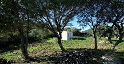 Traditional 14 Ha Land and Farmhouse for Sale in Luogosanto 30 Km from Porto Cervo